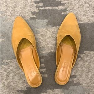 Everlane mules